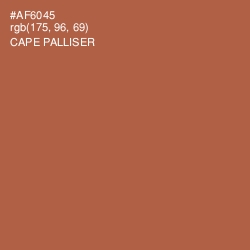 #AF6045 - Cape Palliser Color Image